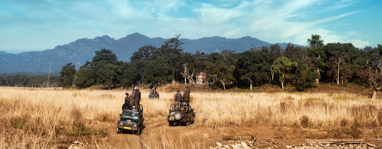 jungle safari near utkal hospital